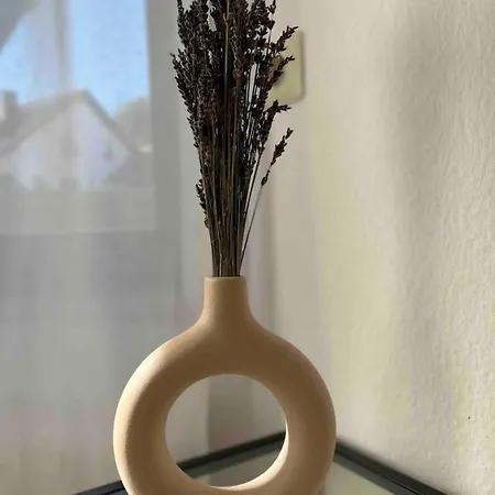Apartament Casa Damaschke *
